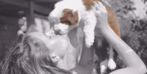 qq头像女生 可爱动物,精选可爱动物QQ头像大盘点”