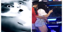 羞耻小姐姐,揭秘网络红人的成长之路