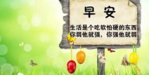 100句正能量短句,点亮生活前行之光
