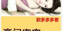 亿万老婆买一送一 小说,亿万老婆买一送一的爱情较量