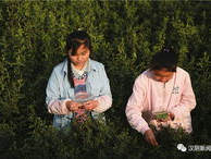 汉阴小姐姐,探寻古韵新颜的美丽传奇
